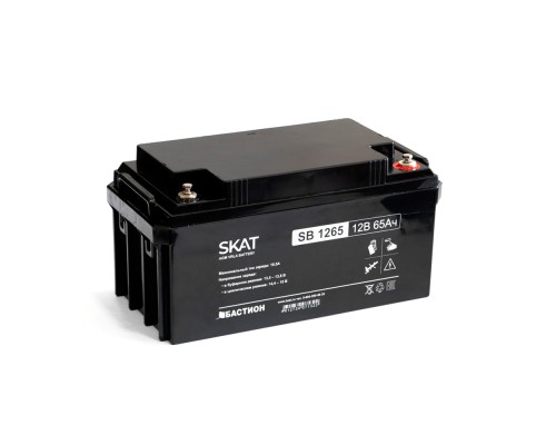 SKAT SB 1265 АКБ свинцово-кислотная тип AGM 12V БАСТИОН SKAT SB 1265 АКБ свинцово-кислотная тип AGM 12V БАСТИОН