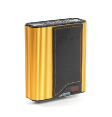 Стабилизатор напряжения БАСТИОН TEPLOCOM ST-555-И Western gold black