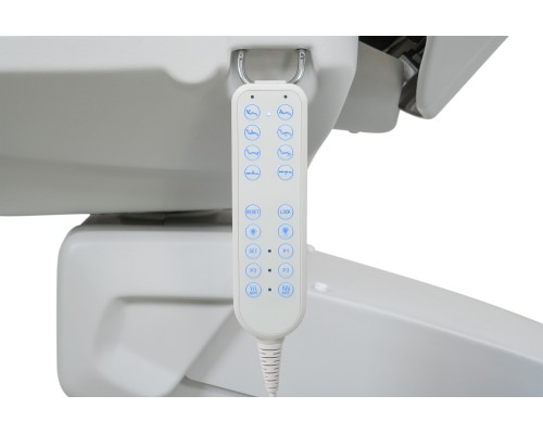 Косметологическое кресло Mizomed MZ 3165 Maxi Cozy с электроприводом Косметологическое кресло Mizomed MZ 3165 Maxi Cozy с электроприводом