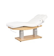 Электрическая массажная кушетка Mizomed MZ 3170 Troch Smart